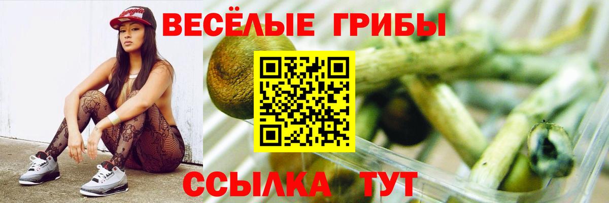 Людиново  закладки  Вход с VPN  Галлюциногенные грибы прущие грибы 